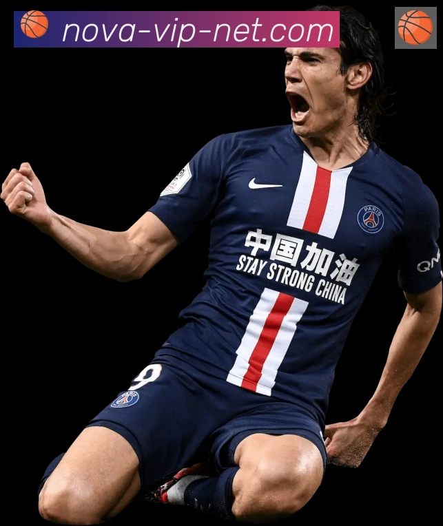 多彩内容专区